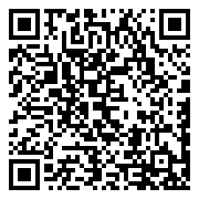 仙迹-0.1开箱买断版本